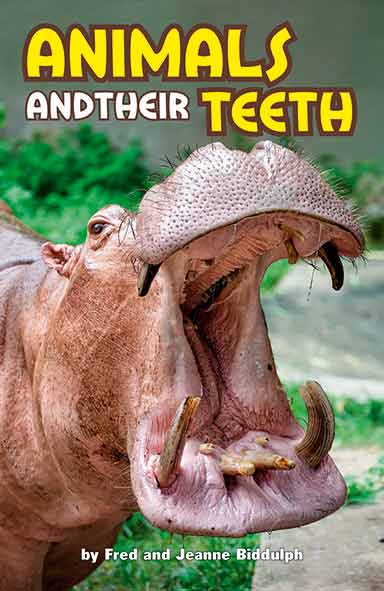 Animals and Their Teeth